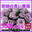 青いバラ ブルーローズ 誕生日 プレゼント 青バラ 花束 送料無料 【 奇跡の青薔薇 サントリー 「アプローズ」 花束 50本 】 花 結婚記念日 送別会 花ギフト 端午の節句 父の日 お供え 退職祝い 青 薔薇 バラ 苗 造花 ブルー 一輪 ドーム サントリー 生花 レインボーローズ