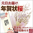 啓翁桜 山形 桜 年賀状桜 特級80cm 7本〜8本 手軽に飾れるサイズの桜の年賀状 啓翁桜 お歳暮...