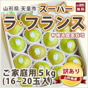 ラフランス 山形 洋梨 送料無料 訳あり ご家庭用 5kg ...