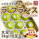 ラフランス 山形 洋梨 送料無料 贈答用...