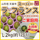 ラフランス 山形 洋梨 送料無料 訳あり Lサイズ 約3kg...