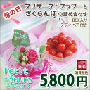 【送料無料】<母の日限定プチフール> プリザとさく