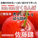 さくらんぼ 佐藤錦 送料無料 山形 贈答用 秀2L 1kg ばら詰め 【佐藤農産】サクランボ 父の日 狩り ギフト 手作業 アメリカンチェリー ナポレオン 高砂 月山錦 佐藤錦 紅秀峰 カード付 さくらんぼゼリー 鉢植え
