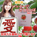 さくらんぼ 佐藤錦 送料無料 山形 贈答用 特選 2L メッセージさくらんぼ 【愛】600g 盃状剪定 減農薬栽 【佐藤農産】 サクランボ 父の日 狩り ギフト 手作業 アメリカンチェリー ナポレオン 高砂 月山錦 佐藤錦 紅秀峰