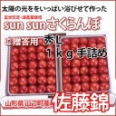 さくらんぼ 佐藤錦 送料無料 山形 贈答用 秀L 1kg 手詰め 並べ詰め 【佐藤農産】サクランボ 父の日 狩り ギフト 手作業 アメリカンチェリー ナポレオン 高砂 月山錦 佐藤錦 紅秀峰 カード付 さくらんぼゼリー 鉢植え