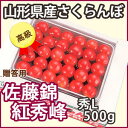 さくらんぼ 佐藤錦 送料無料 山形 【 贈答用 佐藤錦又は紅秀峰 秀L 500g 手詰め 並べ詰め まる勘山形 】 お中元 山形県産 山形産 狩り 予約 ギフト 訳あり 予約 ギフト 父の日 月山錦 紅秀峰 高砂 アメリカンチェリー 南陽 ナポレオン チェリー サクランボ