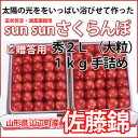 さくらんぼ 佐藤錦 送料無料 山形 贈答用 秀2L 1kg 手詰め 並べ詰め 【佐藤農産】サクランボ 父の日 狩り ギフト 手作業 アメリカンチェリー ナポレオン 高砂 月山錦 佐藤錦 紅秀峰 カード付 さくらんぼゼリー 鉢植え