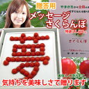 さくらんぼ 佐藤錦 送料無料 山形 贈答用 特選 2L メッセージさくらんぼ 【夢】600g 盃状剪定 減農薬栽 【佐藤農産】 サクランボ 父の日 狩り ギフト 手作業 アメリカンチェリー ナポレオン 高砂 月山錦 佐藤錦 紅秀峰
