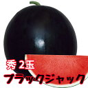ブラックジャック スイカ 種無しスイカ 送料無料【 種なしス...
