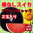 ブラックジャック スイカ 種無しスイカ 送料無料【 種なしス...