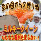 【送料込み】粘りが違う 23年産 埼玉県春日部産まれ ミルキークイーン 1等 玄米5kg 【nk_fs_0629】