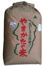 【送料込み】23年産 山形県 JA新庄もがみ産 つや姫 特栽減減認証 1等玄米10kg 【nk_fs_0629】