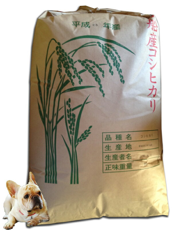 【送料無料】23年産 新潟県 特別栽培米 コシヒカリの造り3等 玄米30kg ちょっと 訳あり！
