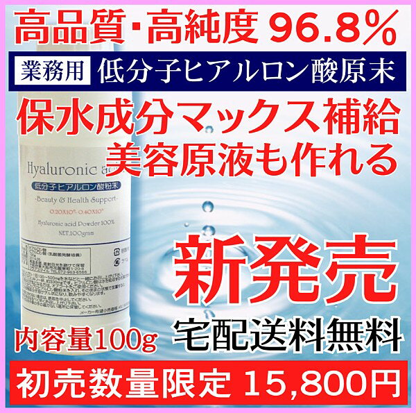 ★健美本舗★まさに王道1日に500mgのヒアルロン酸摂取でも、200日分 高品質・高純度96.8%・低分子ヒアルロン酸原末 100g★宅配送料無料★