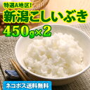【お試し便!ネコポス全国送料無料...