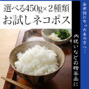 【お試し便!ネコポス全国送料無料...