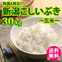 【送料無料】28年産! 新潟県産こしいぶき 30kg 上越産 精米無料【楽ギフ_包装】【楽ギフ_のし】【楽ギフ_のし宛書】【smtb-TD】【saitama】