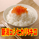 産地厳選!自慢の逸品!ギフトに最適です!特選!新潟県産コシヒカリ5kg【楽ギフ_のし宛書】