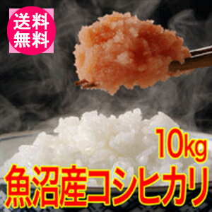 【送料無料】28年産！　魚沼産コシヒカリ　10kg　十日町地区　最高級　ギフトにおすすめ♪…...:auc-komedonya:10000002