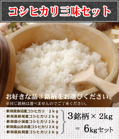 23年度産　コシヒカリ三昧　2kg×3個 10P123Aug12