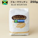 コーヒー豆 ブルーマウンテン ブルマン 100% 250g コーヒー 珈琲 【メール便送料無料】