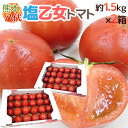 【送料無料】熊本県やつしろ産 塩トマト ”塩乙女トマト” 約1.5kg×2箱(計約3kg) 大き