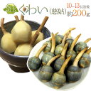 埼玉県 ”くわい” 約200g前後 Sサイズ【予約 12月中下旬以降】【楽ギフ_包装】