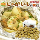 【送料無料】北海道産 ”じゃがいも” 訳あり 約10kg 大きさおまかせ【予約 入荷次第発