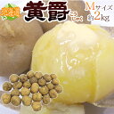 【送料無料】北海道 北見産 じゃがいも ...
