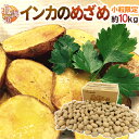 【送料無料】北海道 ”インカのめざめ” ちょっと訳あり 約10kg 小粒限定 ジャガイモ【