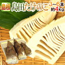 【送料無料】島根産 ”島田たけのこ” 秀品 3~6本 約4kg【予約 4月下旬以降】