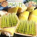【送料無料】高知産 ”四方竹” 秀品 S/M/L 約2kg ...