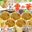 【送料無料】茨城県 紅はるか ”干し芋 雪の華” 約5kg ...