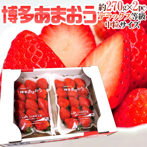 【送料無料】福岡産 博多 ”あまおういちご” 中粒 等級DX(デラックス) 1箱 2パック入り(1パック15粒前後/約270g)【予約 12月?4月】
