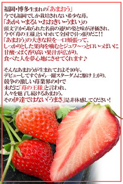 【ポイント最大20倍】【送料無料】福岡産いちご ”博多あまおう” 秀品 L/2Lサイズ 約270g×4パック【予約 1月以降】【楽ギフ_包装】