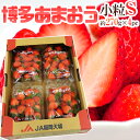 【エントリーでポイント10倍&200Pプ...