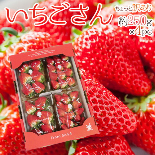 【全国送料無料】佐賀 ”いちごさん” ちょっと訳あり 約250g×4パック 大きさおまかせ【予約 12月〜4月】