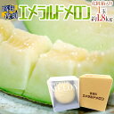 【5/25 1:59まで エントリーで200P】【送料無料】”エメラルドメロン” 大玉 約1.8kg 高知県夜須産 専用化粧箱入り 驚きの甘さ【楽ギフ_包装】