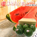 【期間限定!スマホからエントリーで全品ポイント10倍】【送料無料】熊本産 ”小玉すいか ひとりじめ” L/2L 4?5玉 約7.5kg前後 訳あり【予約 4月以降】【楽ギフ_のし宛書】