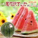 【緊急スポット販売!すぐ発送】山形県産 ちょっと訳