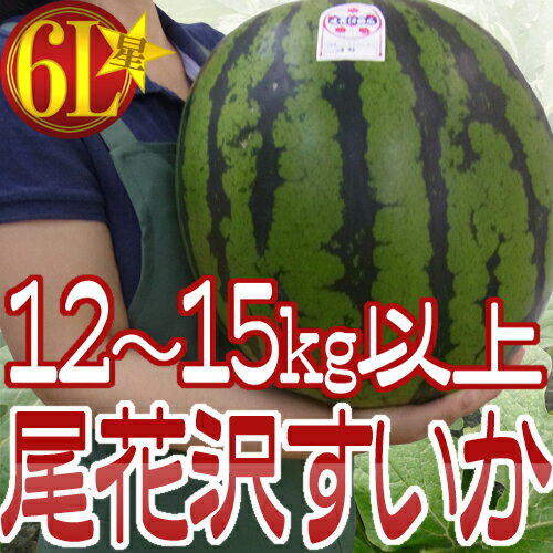 【送料無料】山形県産 ”尾花沢スイカ” 6L★（7