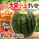 鳥取県 ”大栄小玉スイカ 姫甘泉” 訳あり 1玉 約2kg以...