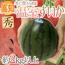 【送料無料】高知県 ”温室すいか” 1玉 約2kg以上 西瓜【予約 12月以降】
