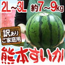 【送料無料】熊本県産 ”熊本すいか” 大玉 2L?3Lサイズ 訳あり 7kg?9kg【予約 4月以降】【楽ギフ_のし宛書】