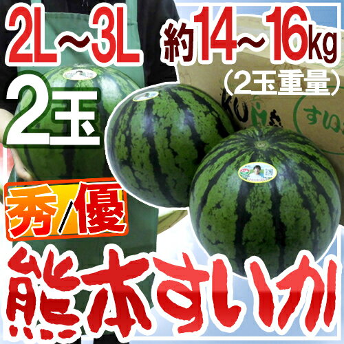 【送料無料】熊本県産 ”熊本すいか” 秀・優品 大玉 2L〜3Lサイズ 2個で14kg〜1…...:auc-kurashi-kaientai:10000661