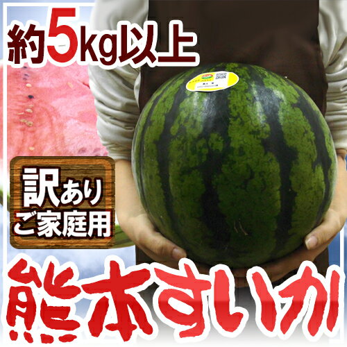 【送料無料】熊本県 ”熊本すいか” 訳あり 約5kg以上 1玉【予約 4月以降】【楽ギフ_のし宛書】...:auc-kurashi-kaientai:10002396