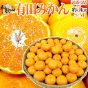 【送料無料】和歌山産 ”有田みかん” 訳あり S〜Mサイズ ...