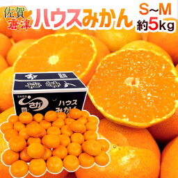 佐賀産 JAからつ ”<strong>ハウスみかん</strong>” S/Mサイズ 約5kg 温室みかん【予約 6月以降】 送料無料