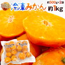 【送料無料】和歌山産 ”冷凍みかん” 約500g×2袋(合計約1kg)【予約 入荷次第発送】