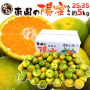 【送料無料】宮崎産 ”南国の陽蜜(ひみつ...